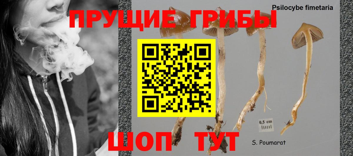 Псилоцибиновые грибы MAGIC MUSHROOMS Куйбышев