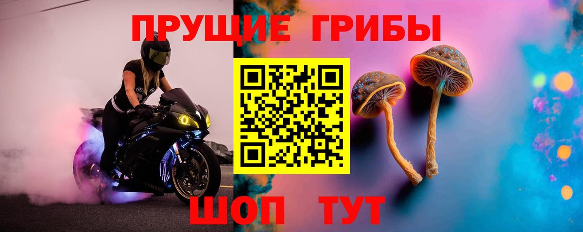 Псилоцибиновые грибы мухоморы  Вход с VPN  наркошоп  Куйбышев 